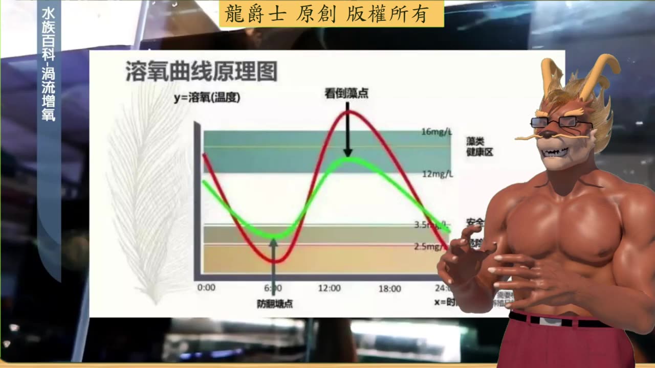 【龍爵士】水族百科 渦流增氧