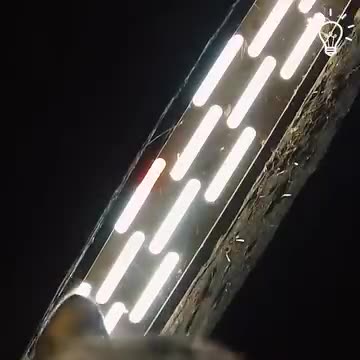 Rescuing a helpless cat! ❤