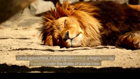 The lion and mouse moral and learning story🦁🐁