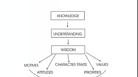 Wisdom / The Bicycle Story