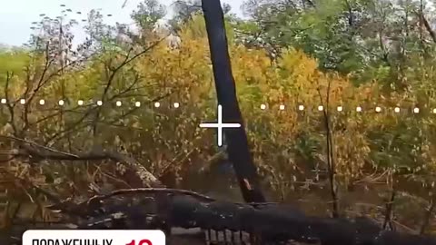 Ukriane war combat footage 10/1/25