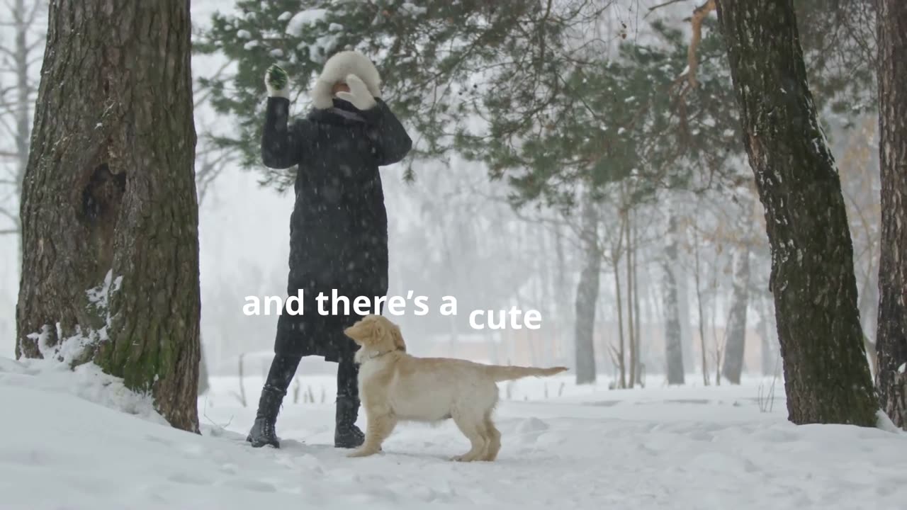 Baby Animals Having Snowy Fun!