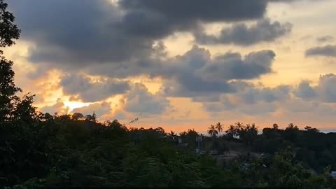 Daily Horoscope | Cancer 🌟