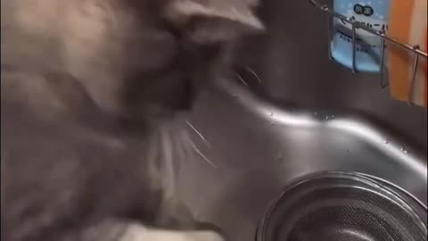 When you are out of sync 🤣