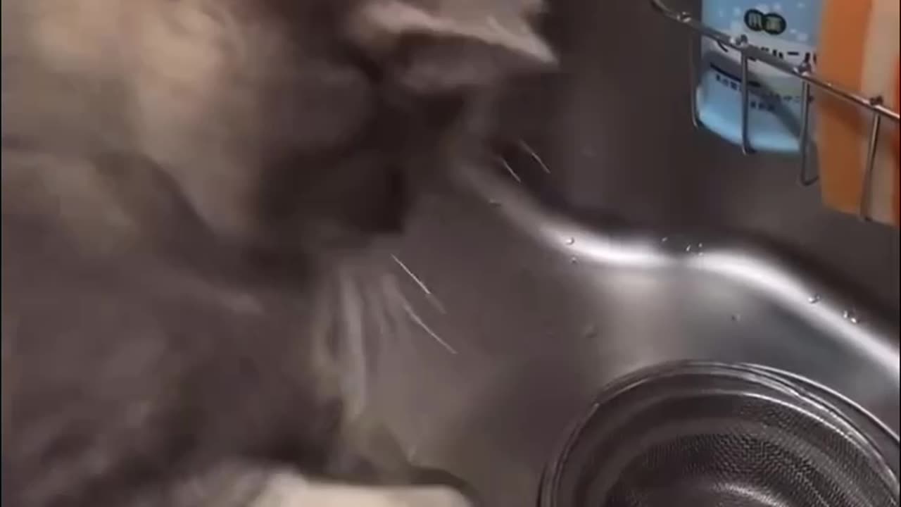 When you are out of sync 🤣