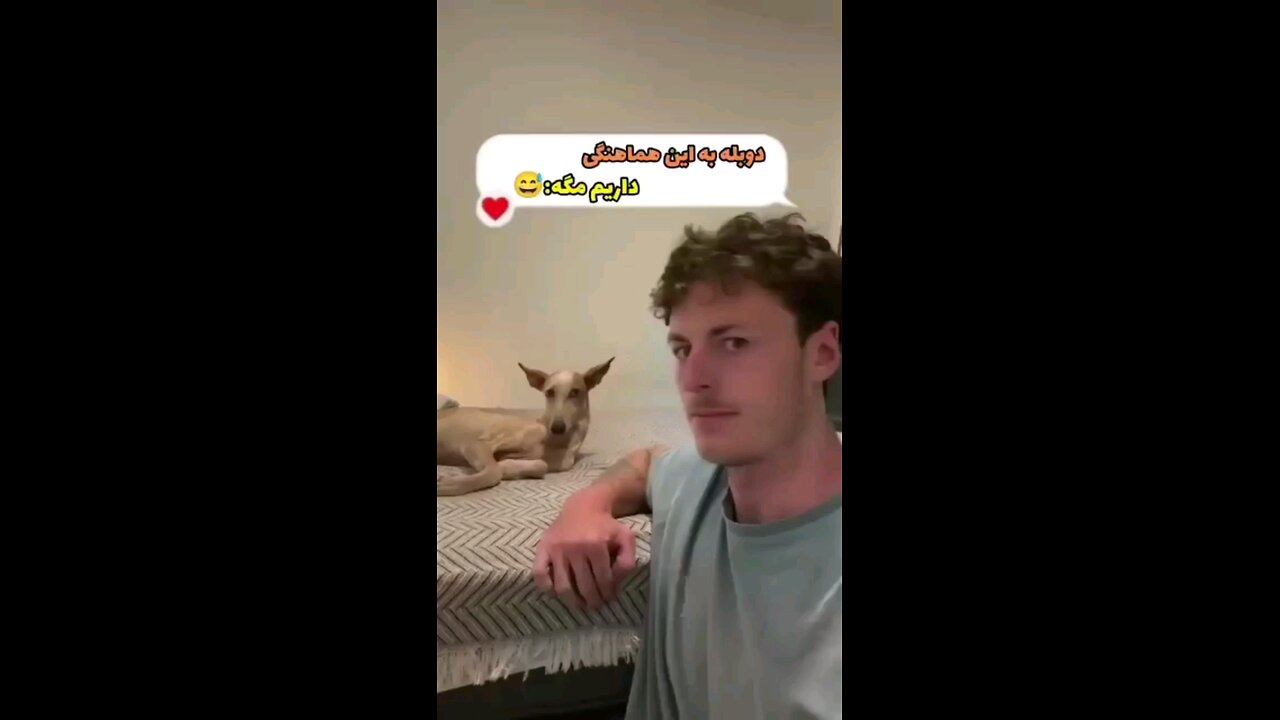 dog& human = asking about food