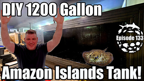 1200 Gallon DIY Aquarium Build & Stocking the Amazon Discus Tank!