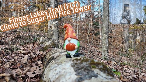 Finger Lakes Trail (FLT) climb to Sugar Hill fire tower