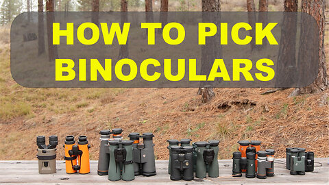 Binoculars 101: How to Choose the Perfect Pair