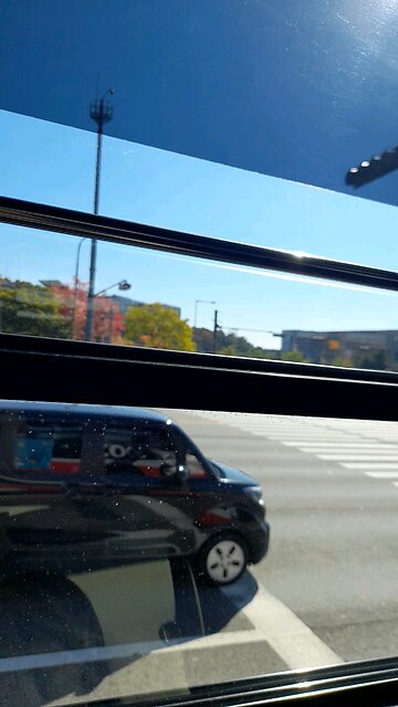 20251103. halleluyah.