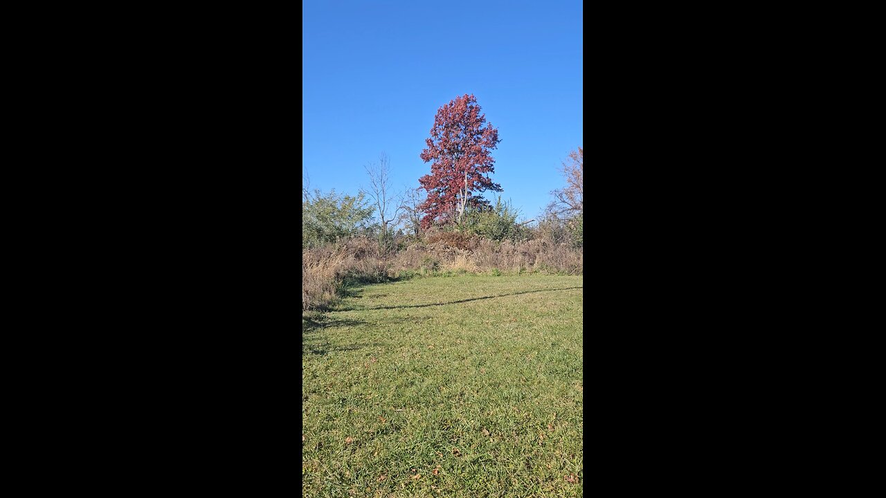 I Don't Know What Was Back Here