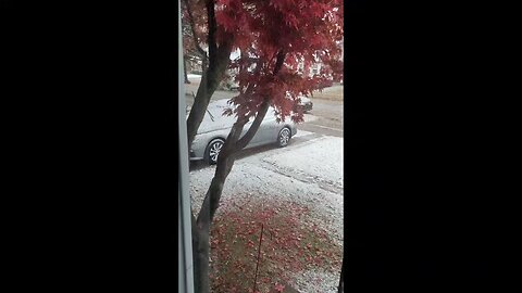 Snow, Dearborn, Michigan, 11/9/25 About 9:29 A.M.