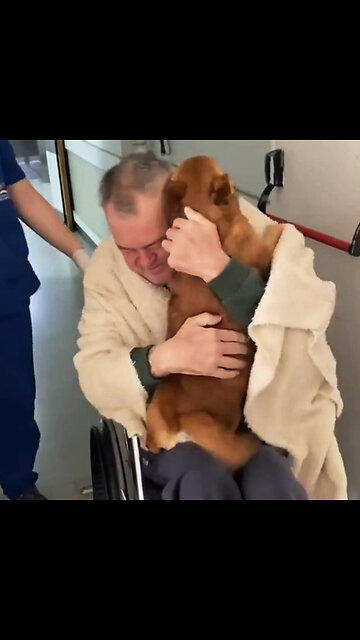 El emotivo reencuentro entre un hombre y su perro