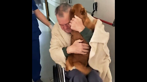 El emotivo reencuentro entre un hombre y su perro