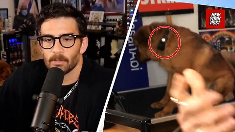 Streamer Hasan Piker Accused of Using a Shock Collar on his Dog to Keep her in the Shot for Views