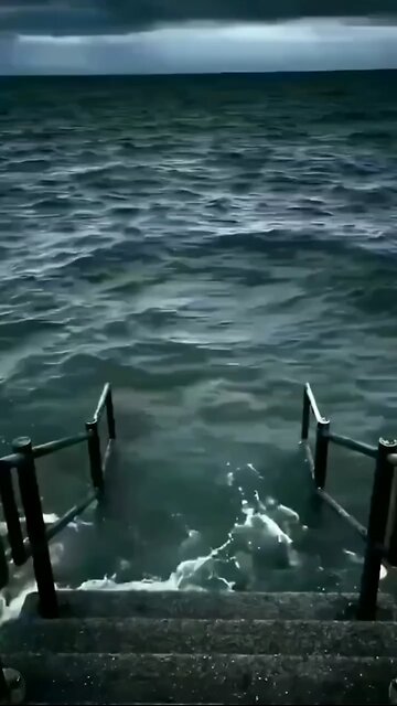 dog lives, dog loves