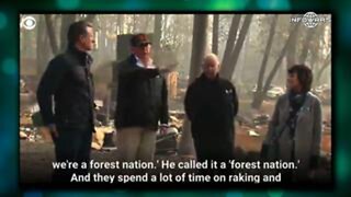 FLASHBACK: Trump 100% Right On Needing To Rake The Forests & Reinstituting Fire Mitigation Programs