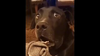 Dank Offensive Memes Compilation #224