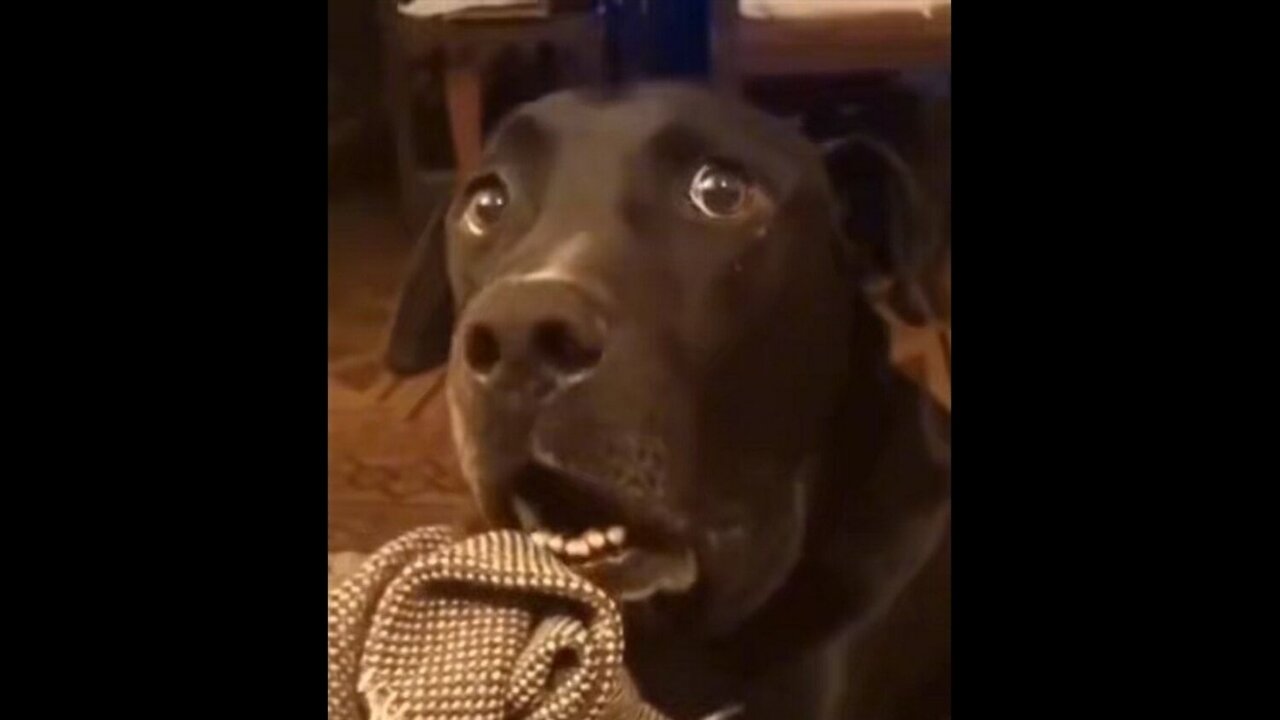 Dank Offensive Memes Compilation #224