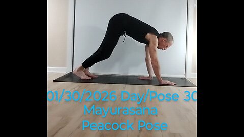 Mayurasana - Peacock Pose