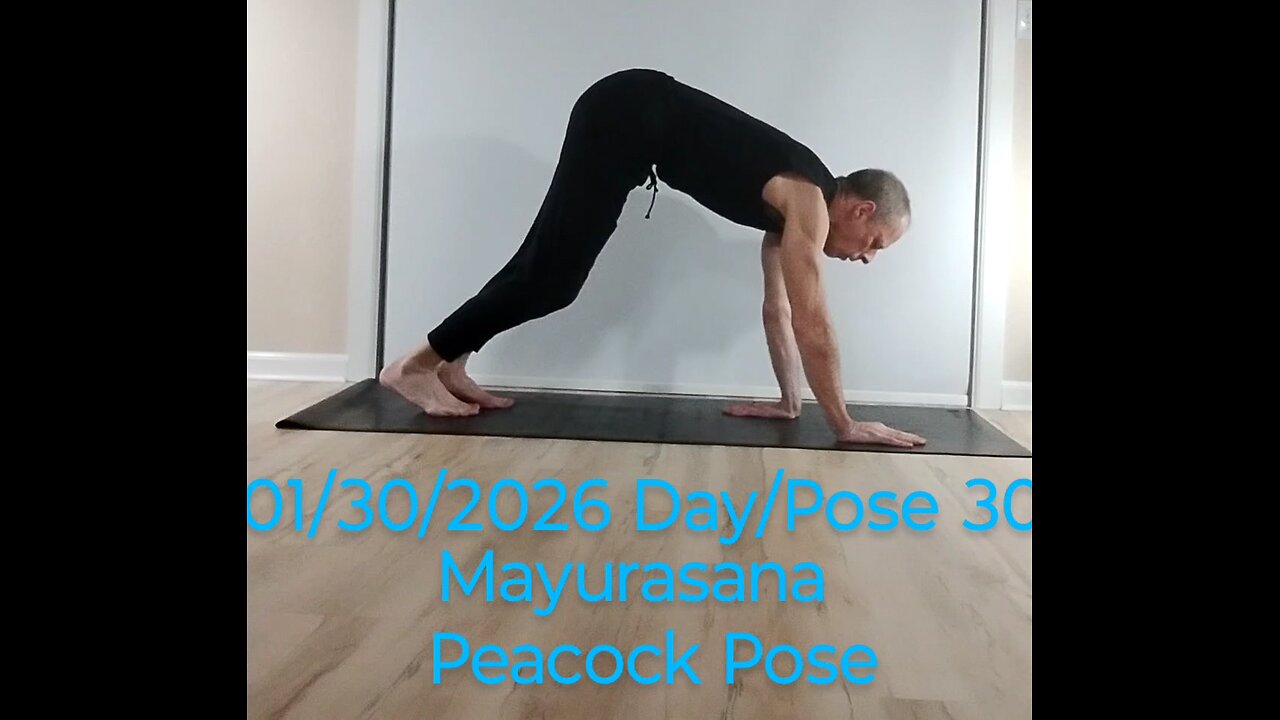 Mayurasana - Peacock Pose