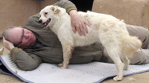 Our blind dog Angel begins trusting Leo in this Part II.