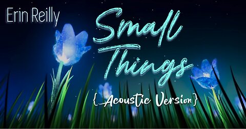 Small Things (Acoustic Version)