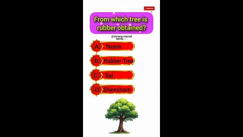 from which three is rubber obtained 🤔🤔😲