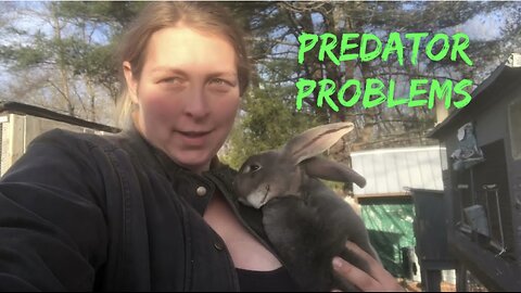 Coyote Tried to Get My Goat Kids VLOG#044