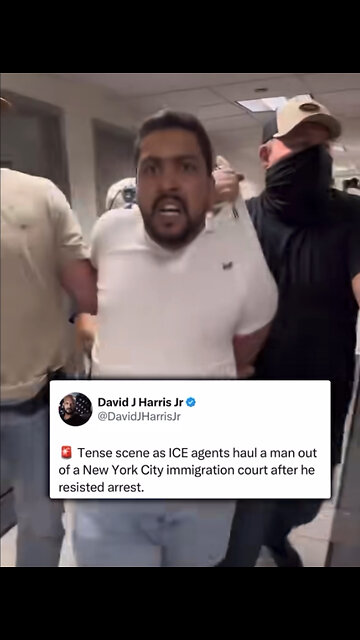 Tense scene as ICE agents haul a man out of a New York City immigration court after he resisted arrest.