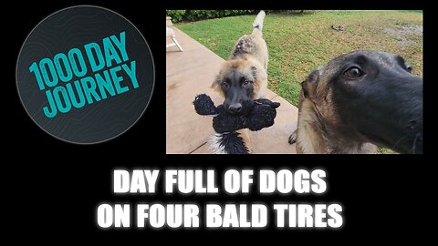 1000 Day Journey 0939 A Day Full of Dogs on Four Bald Tires