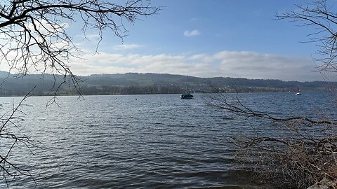 Am Greifensee - in der Sonne - 03.02.2025