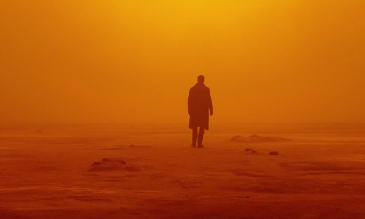 Direction of the Sun