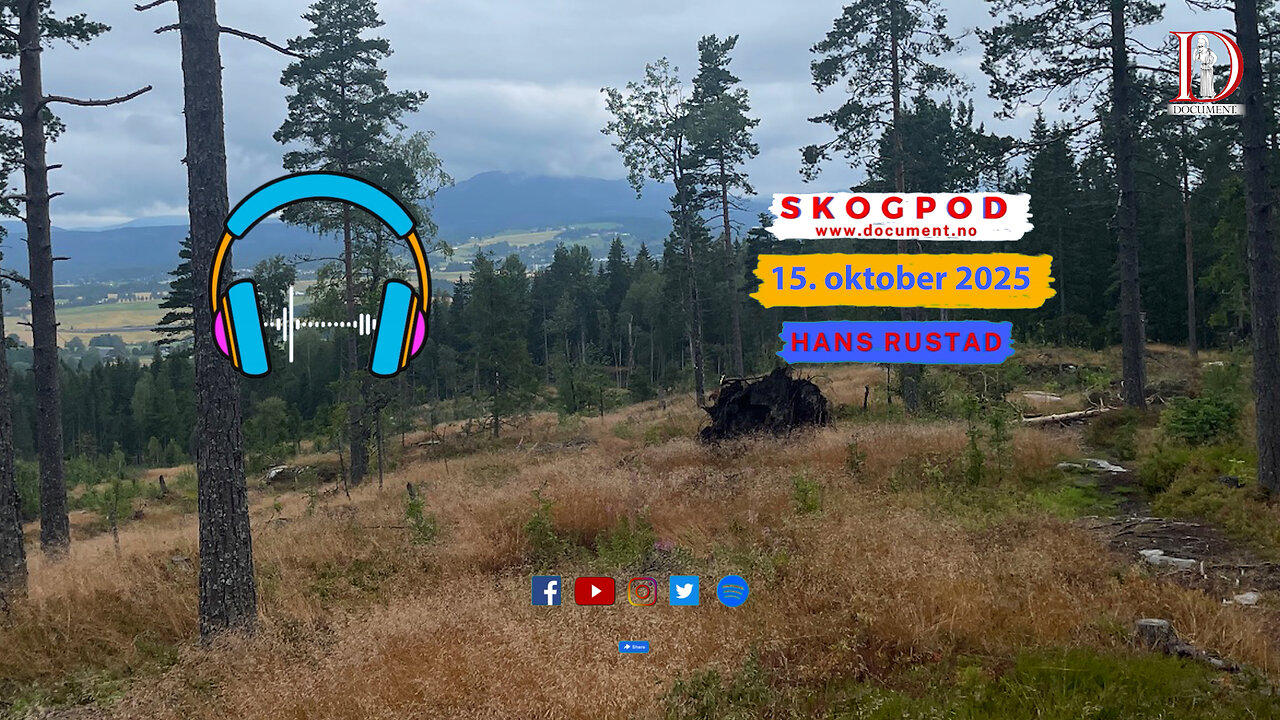 Skogpod 15. oktober 2025