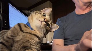 Episode 3006 CWSA 11/01/25