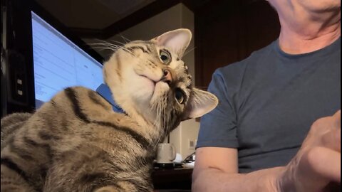 Episode 3006 CWSA 11/01/25