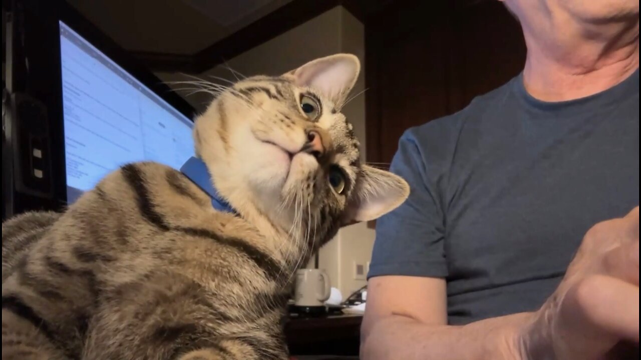 Episode 3006 CWSA 11/01/25