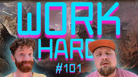 Raccoons and Diamonds - WORK HARD Ep101
