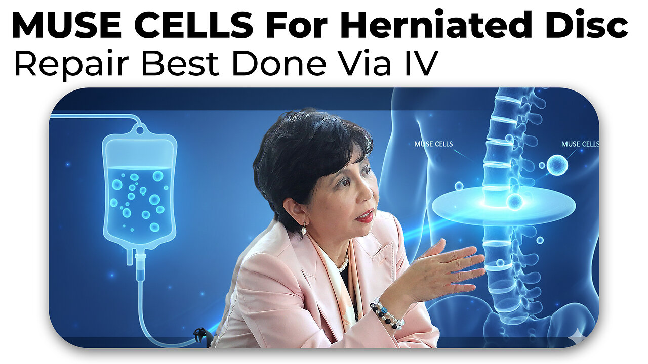 MUSE CELLS For Herniated Disc Repair Best Done Via IV According to Dr. Dezawa - DBC MUSE CELLS 2025