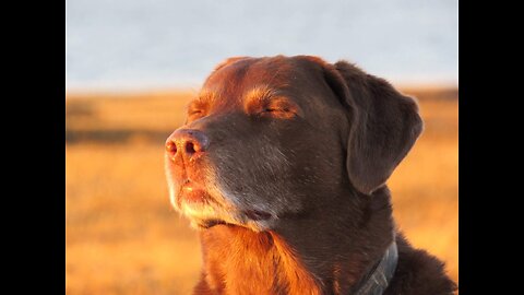 It hit me like an earthquake