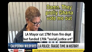 LA Mayor cut 17M from fire dept but funded 170k “social justice art”