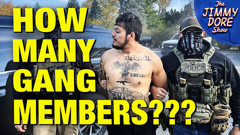 Shocking Outcome Of DHS’s Immigration Raid In Chicago