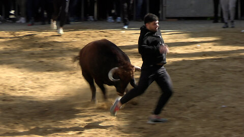 2025 01 18 ALMÁCERA SANT ANTONI