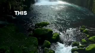 #bible Study with #jairus – #deuteronomy 17:8-9