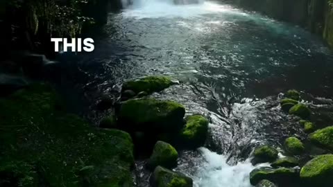 #bible Study with #jairus – #deuteronomy 17:8-9