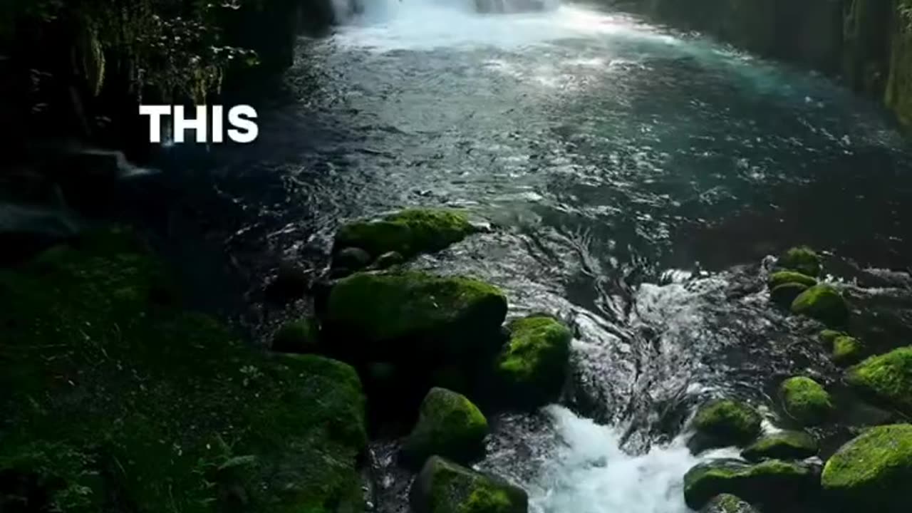 #bible Study with #jairus – #deuteronomy 17:8-9