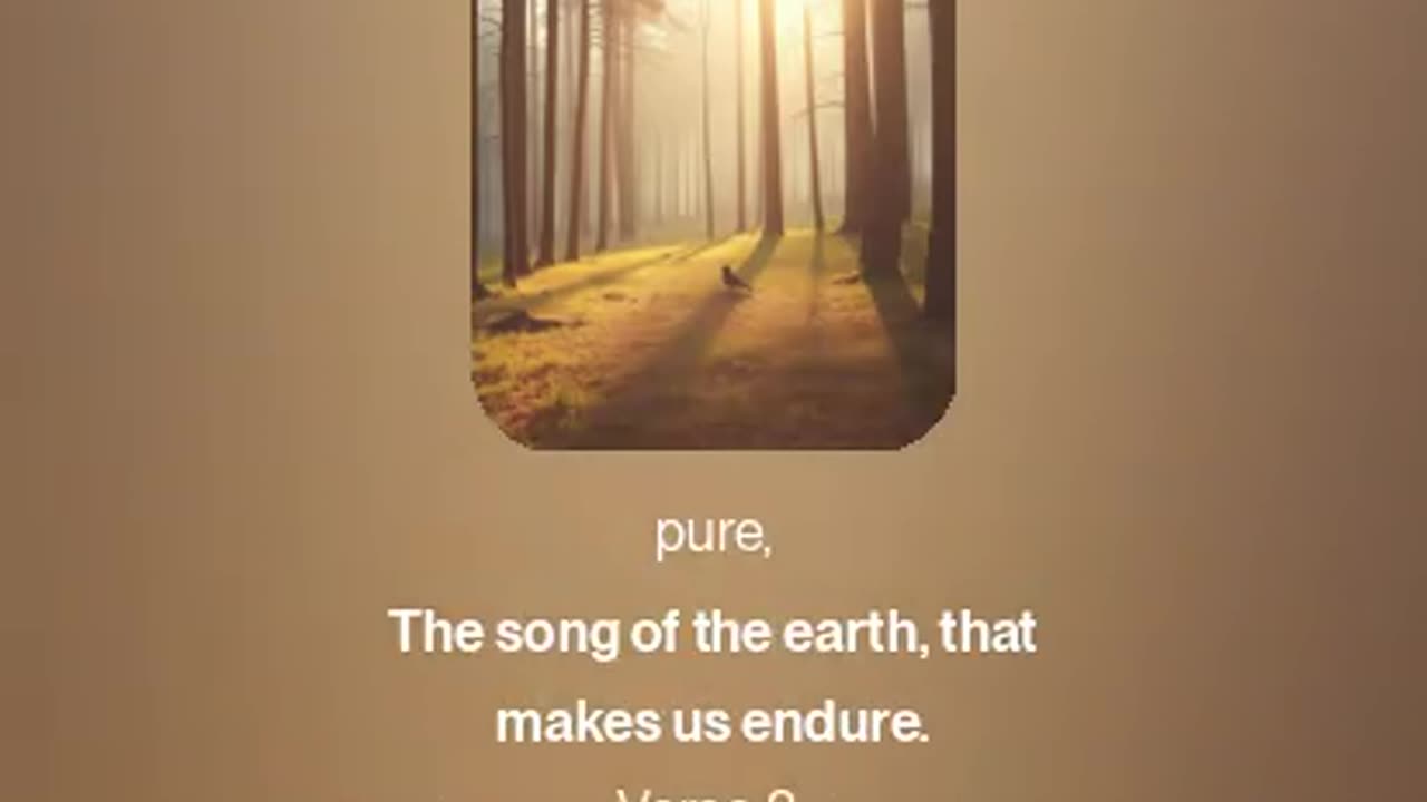 Vibe with Nature 3