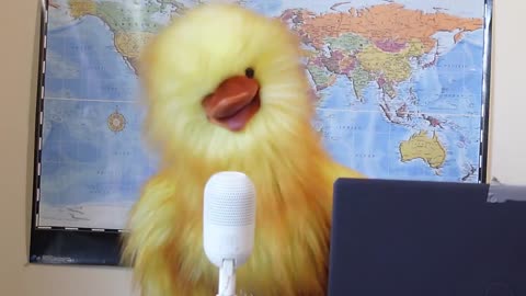 CPGA Puppet's Special Report : Ostriches Fate at BC Farm Garnishing International Attention... 