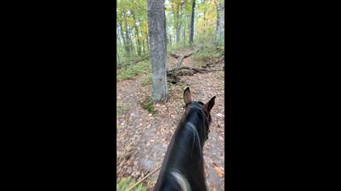 Ranger - clips of first solo ride at Waterloo - 10 Oct 2025