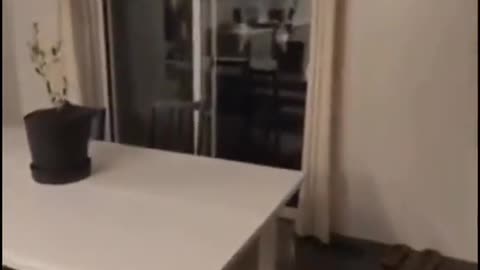 😱👻 You Won't Believe the Jinn Caught on Camera! | TheHauntingHour